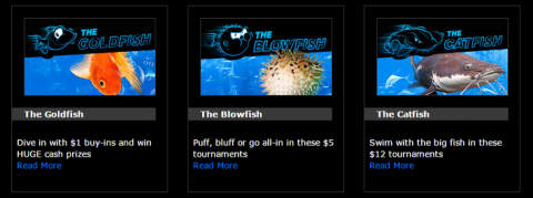 fish tournaments 888
