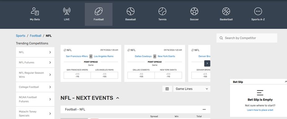 Bovada Review Layout Pic