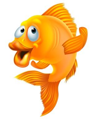 How to Identify Poker Fish